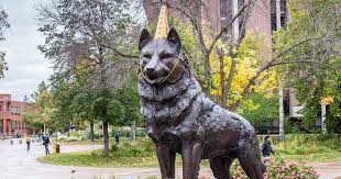 Bronze Blizzard With His Birthday Hat On Husky Husky Puppy Statue