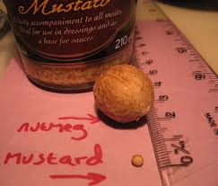 Mustard Been Mistaken The Blog Of Kevin