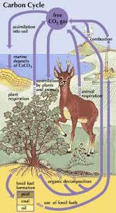 893,190 likes · 1,400 talking about this. Plant Students Britannica Kids Homework Help