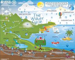 We Love This Interactive Water Cycle Chart From Usgs You