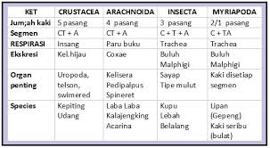 1) suatu hewan mempunyai ciri sebagai berikut: Biologi Gonzaga Arthropoda