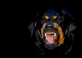 Rottweiler Wallpaper 4k Hd Ideas Dog Wallpaper Pet Birds Rottweiler