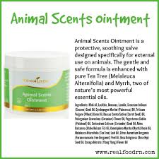 Animal Scents Ointment Real Food Rn Animal Scents Young Living Ointment Essential Oil Scents