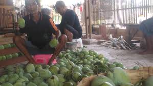 Patokan harga untuk budidaya mangga harum manis dapat anda buat dalam hitungan per kg dimana harga mulai rp 6.000 hingga rp 11.000. Panen Raya Harga Mangga Cengkir Anjlok Radarcirebon Com