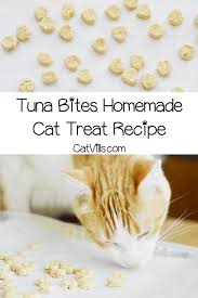 But food sensitivities vary from cat to cat, not everyone is on the same budget, and there's no one food that will solve every cat's digestive woes. If You Re Looking For An Easy Homemade Cat Treat Recipes For A Sensitive Stomach You Ll Love Our Cat Treats Homemade Homemade Cat Treats Recipes Homemade Cat