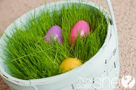 36 creative easter basket ideas for everyone in your family. Grow Your Own Easter Basket Grass