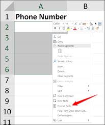 How To Enter Zero Before A Number In Excel Excel Single Quotes Solving