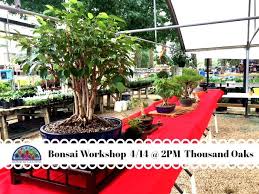 The oaks is minutes away. Rainbow Gardens Don T Miss This Bonsai Workshop For Facebook