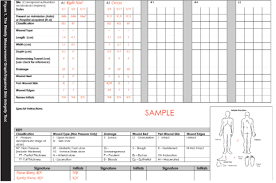 Wound Chart Template Assessment Chart For Wound Management