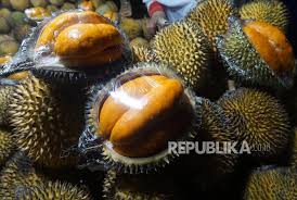 Duku, ambra, books, 과일 하트, fruit, niece, nutmeg, popsicle, some buah. Mengenal Buah Lai Kerabat Durian Dari Kalimantan Republika Online