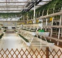 Agricultural Hydroponic PVC Growing Channel Gutter for  Lettuce/Strawberry/Fruit