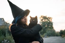Match your new pet's distinct personality with a fitting name like mr. 40 Witchy Cat Names For Spirited Felines Great Pet Care