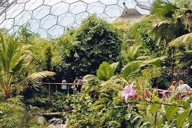 The eden project is one of the uk's top landmark millennium projects created to tell the fascinating story of man's relationship with plants. Eden Project Company Made A Loss Of 756 000 Last Year Accounts Show Third Sector