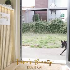 Liva‘s Beauty DOG&CAT Hundesalon - Katzensalon