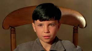 Watch The Reflecting Skin (1990) Full Movie Free Online