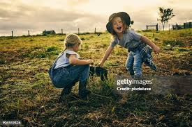 143 Pig Brother Stock Photos, High-Res Pictures, and Images