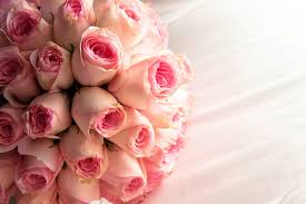 White roses on the other hand show purity, innocence and youthfulness and is indicated as the bridal rose due to its association with young love and eternal loyalty. Pink And White Roses Bouquet Free Stock Photo