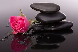 Find the perfect flare black background stock photo. Hd Wallpaper Pink Rose And Black Cairn Stones Flowers Buds Pebbles Pink Roses Wallpaper Flare Pink Flowering Trees Pink Roses Wallpaper Flower Close Up