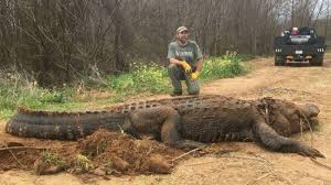 Check spelling or type a new query. Buaya 4 Meter Berbobot 317 Kg Ditemukan Di Selokan Sempat Dikira Foto Hoaks Halaman All Tribun Lampung