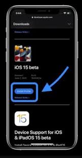 Gone are the days you needed to manually download a bunch of tools and flash the beta onto your phone. How To Download Install Ios 15 Developer Beta On Iphone
