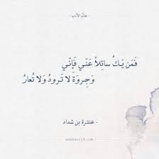 شعر عنترة بن شداد فمن يك سائلا عني فإني Arabic Calligraphy Math Calligraphy