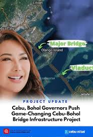 Cebu Governor Pamela Baricuatro confirmed