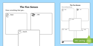The Five Senses Drawing Worksheet Worksheet Worksheet