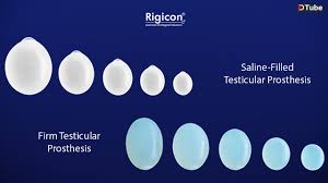 Testicular Prosthesis - Testi10™ - Saline-filled &amp; Firm - Rigicon — Steemit