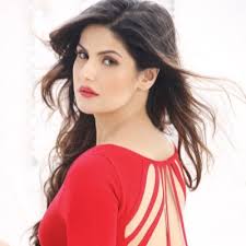 Image result for zareen khan