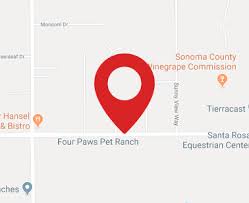 Jason jordan recommends four paws pet hotel & resort. Four Paws Pet Ranch Pet Boarding Dog Daycare Grooming Training Santa Rosa Ca