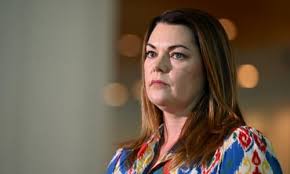 Senator calls social media ban a 'sham'