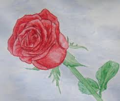 Rose Flower Drawing Ideas Learn how to draw an easy rose, with enough detail to make the flower look dimensional, but not so much to make it difficult to do.
