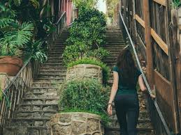 Check spelling or type a new query. Discover The Hidden Stairs Of Los Angeles Discover Los Angeles