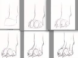 Wolf Paws Anatomy Tutorial Stylized Tutorial