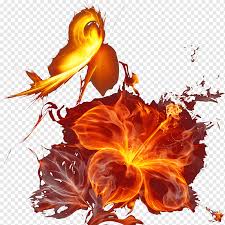 Hd wallpapers and background images. Petal Desktop Botany Illustration Red Flames Glass Burning Computer Png Pngwing