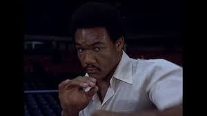 The Six Million Dollar Man (TV Series 1974–1978)