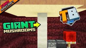 Attach a button to this circuit. Giant Mushroom Farm Truly Bedrock 1 40 Minecraft Bedrock Edition Smp Mcpe Mcbe Youtube