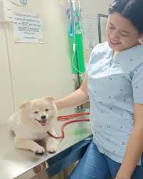 Doc.Larry Crisostomo Pili