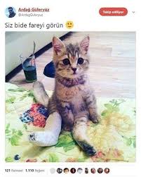 Pin On Tweet Ine Yandim