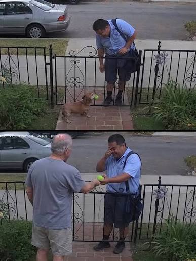 A mailman formed an unlikely friendship with a dachshund who waited for him  at the gate every day with a tennis ball. For five years, the dog greeted  him during his route,