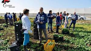 Locuri de munca in bucuresti. Acord In Miez De Noapte Muncitorii Romani Sezonieri È™i Badantele Se Vor Putea Intoarce In Italia Stiri Diaspora