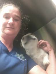 Pet Grooming By Wyndie at Pretty Pups