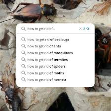 Is licensed through the texas department of agriculture and insured for your protection. When Pests Start Interfering A Altair Pest Control Inc