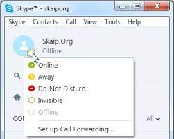 Skype Statuses