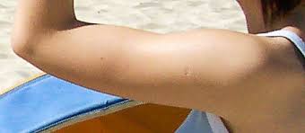How to tell time in spanish. Brazo Definition And Synonyms Of Brazo In The Spanish Dictionary