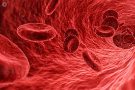 Que es una trombosis venosa en la pierna. Trombosis Que Es Sintomas Causas Prevencion Y Tratamiento Top Doctors