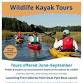 Wildlife Kayak Tour