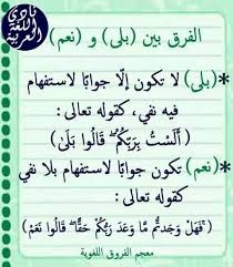 Pin By Fateh Bashir On عربى Learn Arabic Language Beautiful Arabic Words Learning Arabic