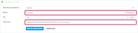 Muss ich diese fehler beheben? Wie Richte Ich Eine Eigene Domain Fur Den Shop Ein Swiss21 Org Helpcenter