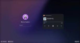 This doesn't appear to be maintained as of april 2013, but it will still work. Chrome Os 79 Adds Media Controls In Lock Screen Mouse Acceleration Control